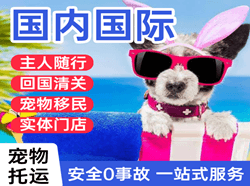 惠州机场空运国际宠物托运 【国